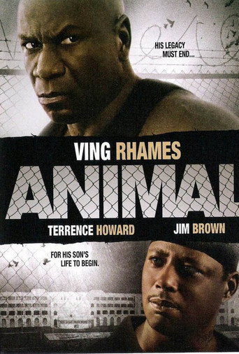Animal Collection