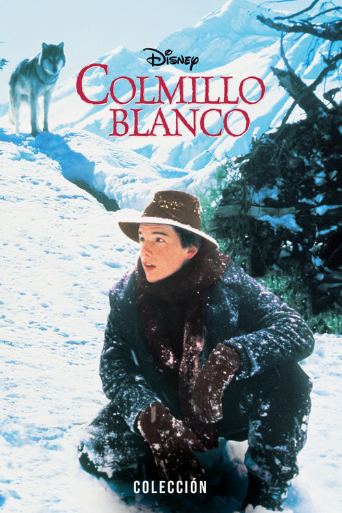 Colmillo blanco - Colección