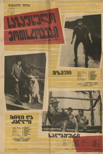 ზაფხულის მოთხრობები
