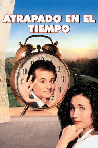 Póster de El día de la marmota
