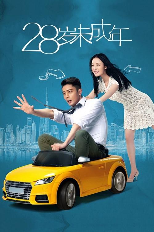 Póster de 28岁未成年