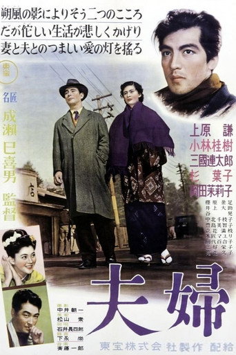Póster de 夫婦