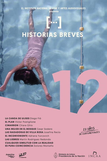 Póster de Historias breves 12