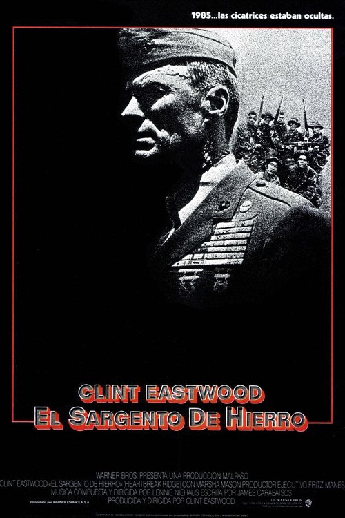 Póster de El guerrero solitario