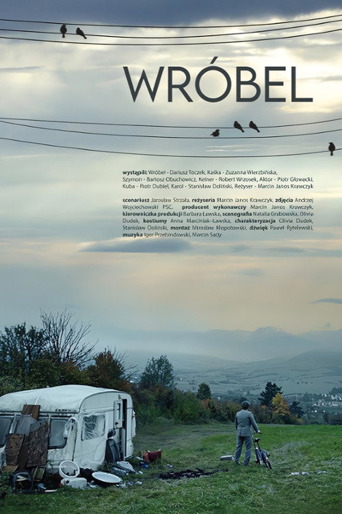 Póster de Wróbel