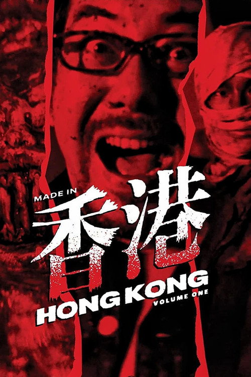 Póster de 山狗1999