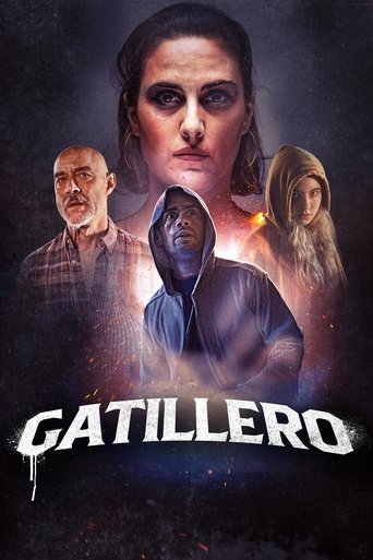 Póster de Gatillero