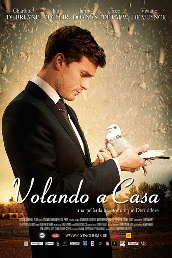 Póster de Flying Home