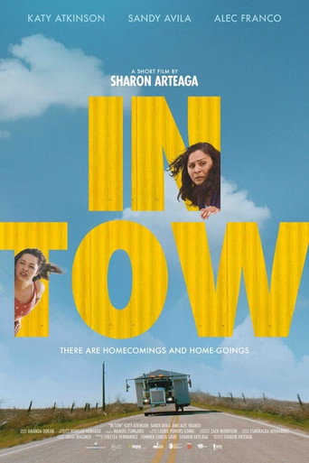 Póster de In Tow