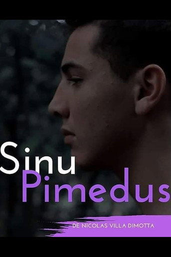 Póster de Sinu Pimedus