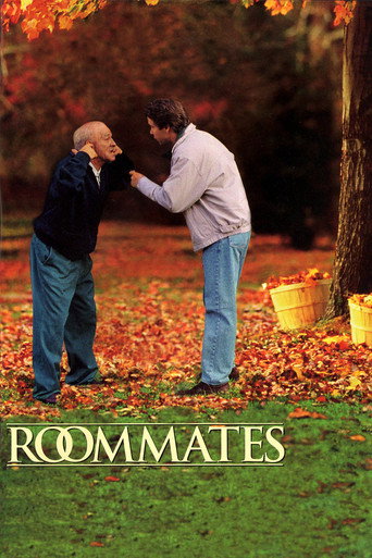 Póster de Roommates