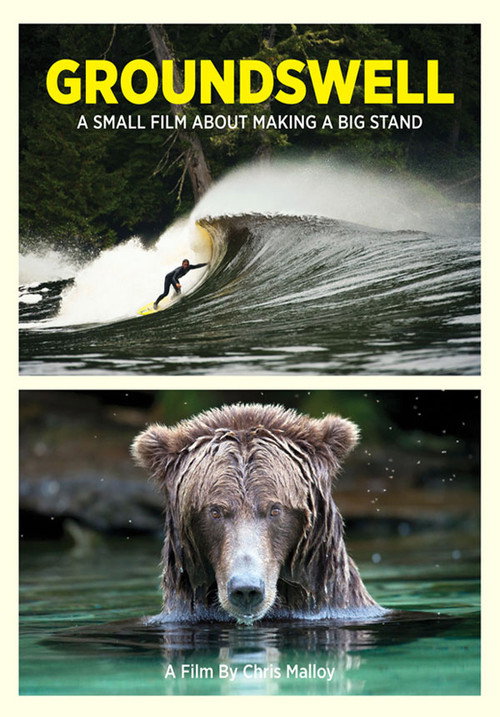 Póster de Groundswell