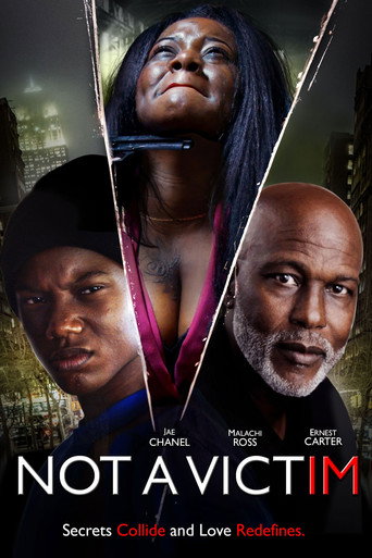 Póster de Not a Victim