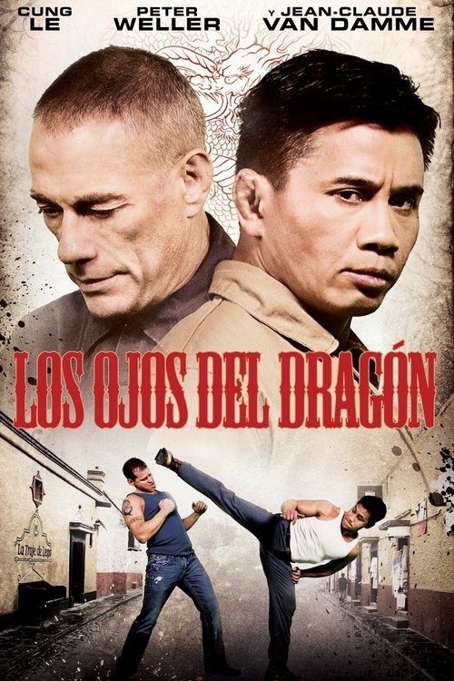 Póster de Dragon Eyes