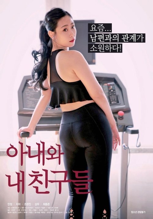 Póster de 아내와 내 친구들