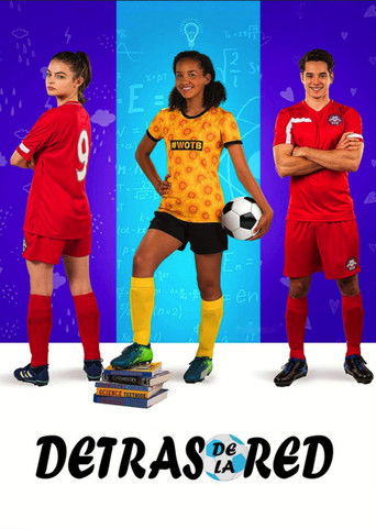Póster de El fondo de la red