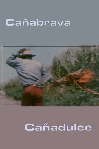 Póster de Cañabrava Cañadulce