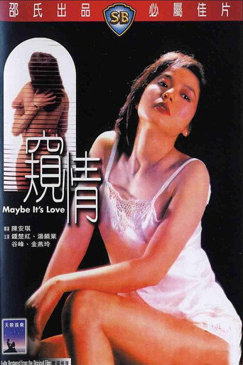 Póster de 窺情