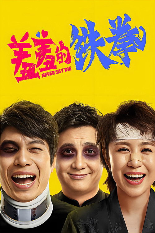 Póster de 羞羞的铁拳