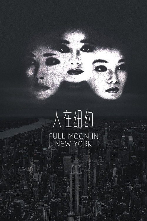 Póster de 人在紐約