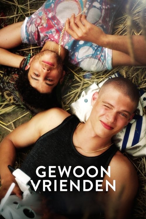 Póster de Gewoon vrienden