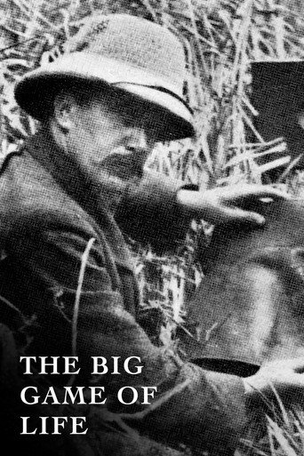 Póster de The Big Game of Life