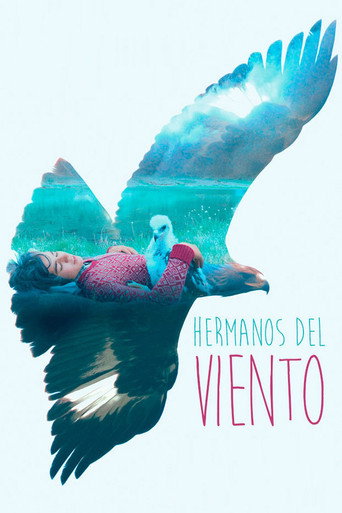 Póster de Brothers of the Wind