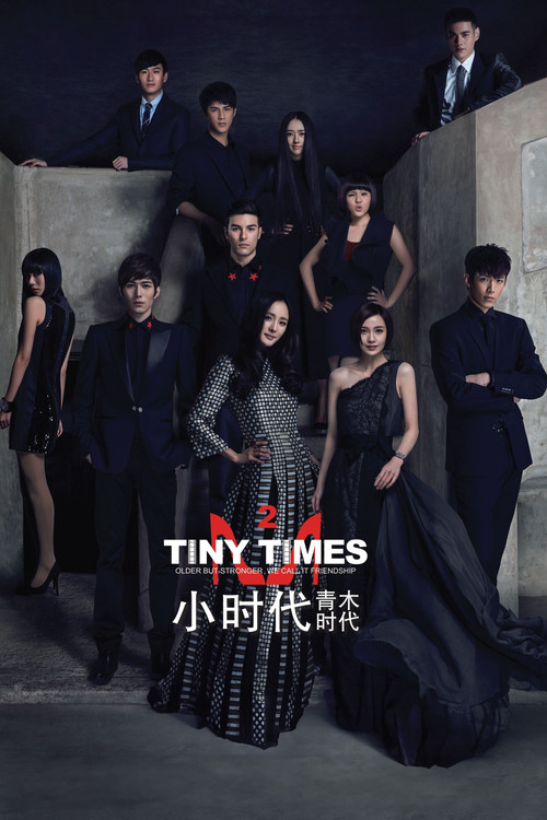 Póster de 小时代2：青木时代
