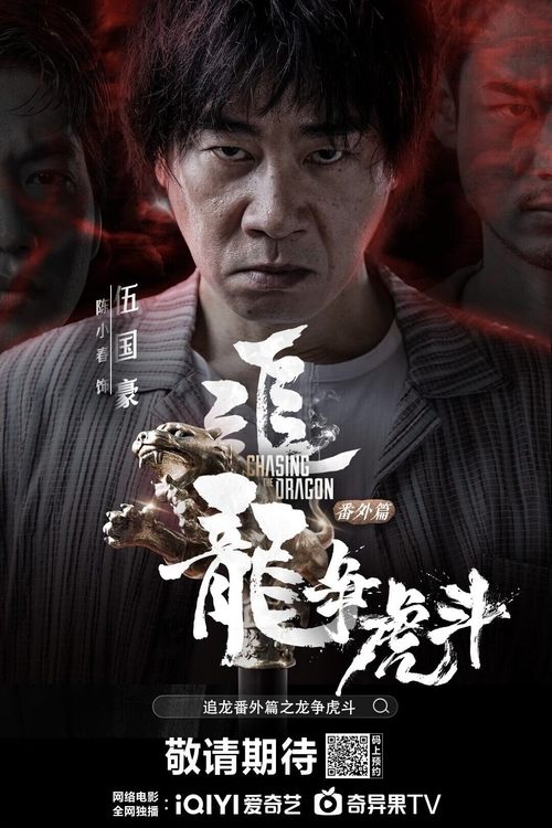 Póster de 追龙番外篇之龙争虎斗