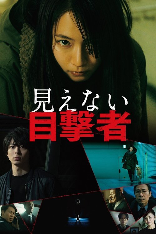 Póster de 見えない目撃者