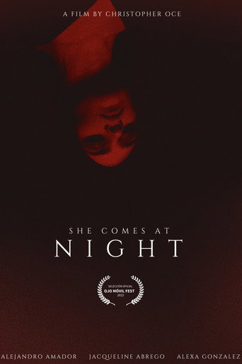 Póster de ELLA VIENE EN LA NOCHE