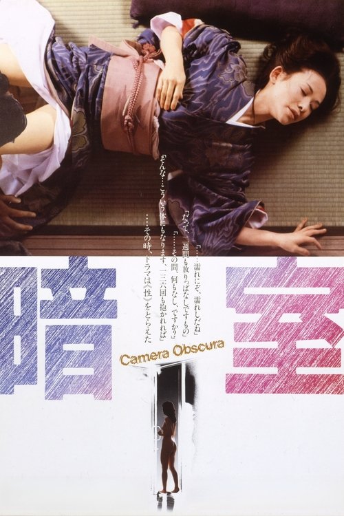 Póster de 暗室