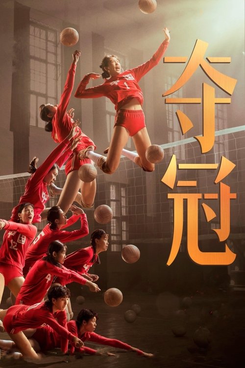 Póster de 夺冠