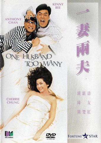 Póster de 一妻兩夫