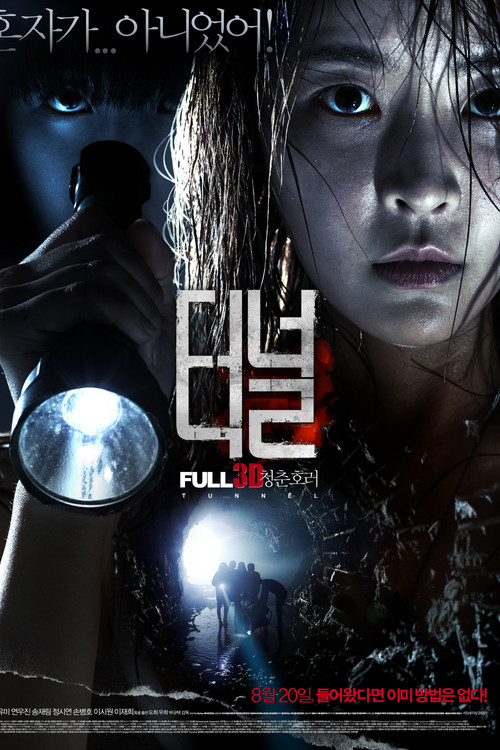 Póster de 터널 3D
