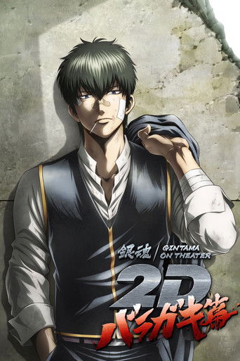 Póster de 銀魂オンシアター2D バラガキ篇