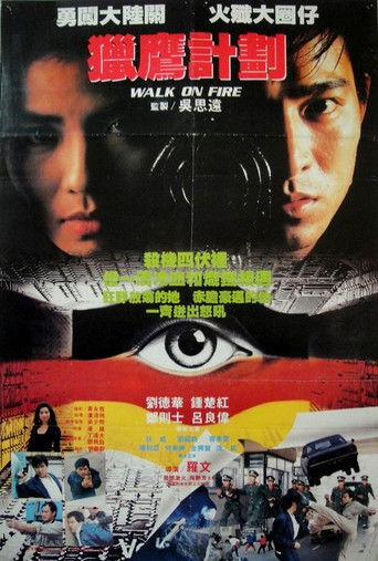 Póster de 獵鷹計劃