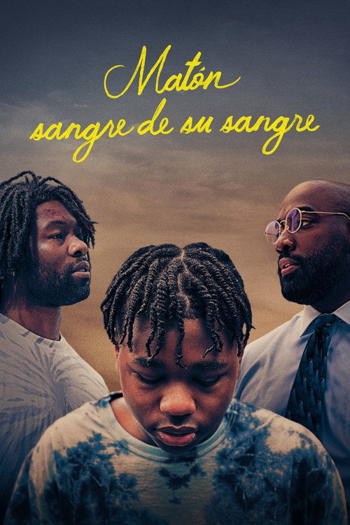 Póster de Mi padre