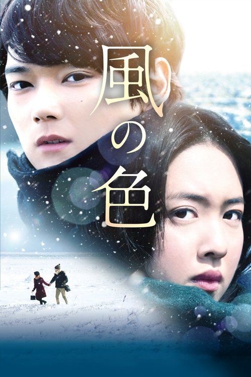 Póster de 風の色