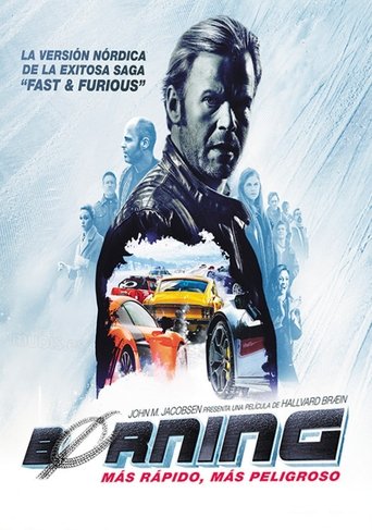 Póster de Børning 2