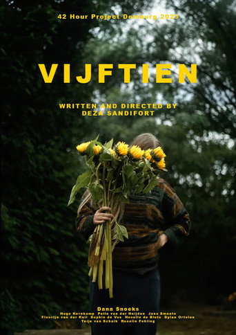 Póster de Vijftien