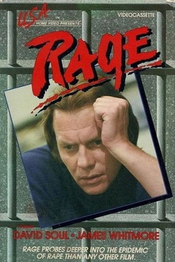 Póster de Rage!