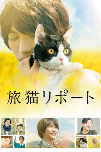 Póster de 旅猫リポート
