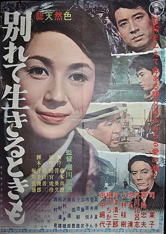 Póster de 別れて生きるときも