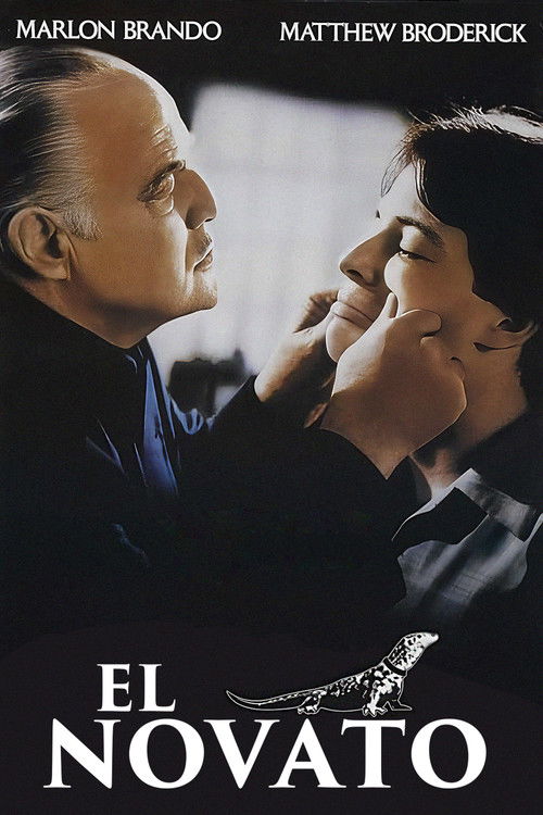 Póster de Un novato en la mafia
