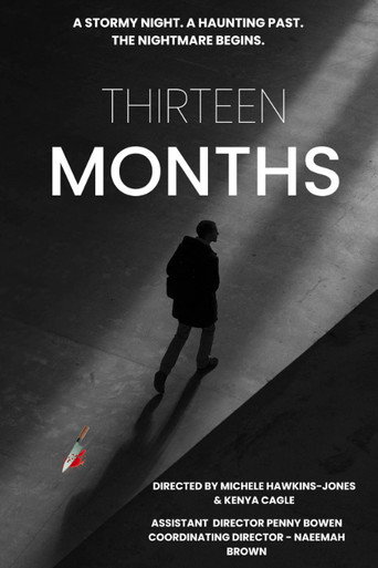 Póster de Thirteen Months