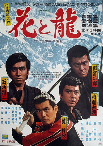 Póster de Flower and Dragon