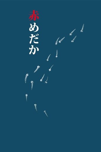 Póster de 赤めだか