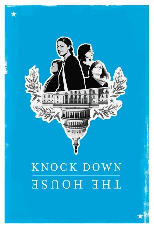 Póster de A la conquista del congreso