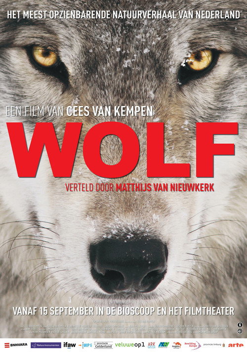 Póster de Wolf
